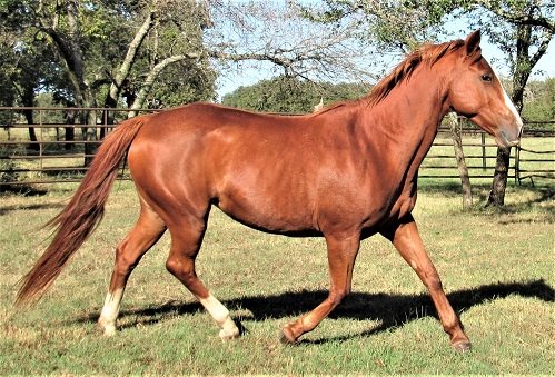BEHS 1235 – Margarita