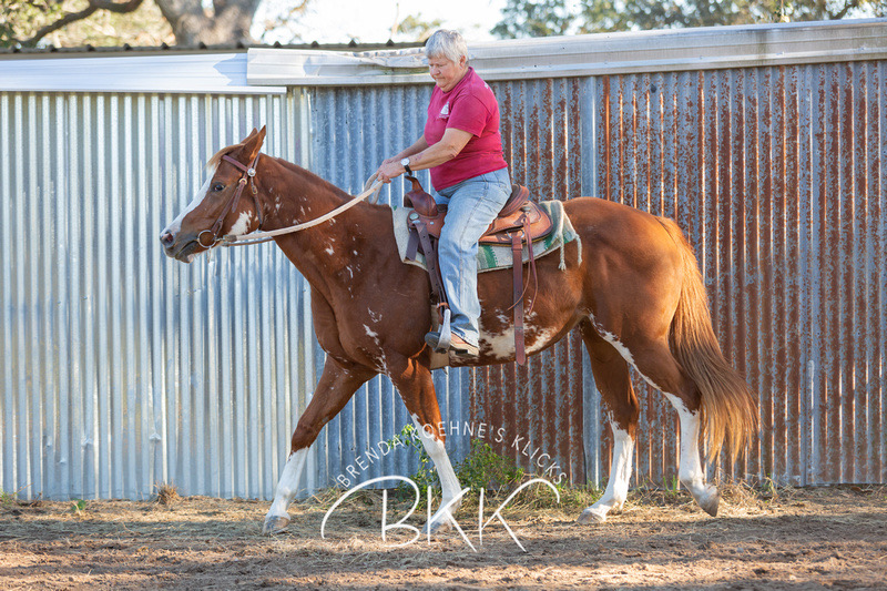BEHS 1005 – Sprinkles
