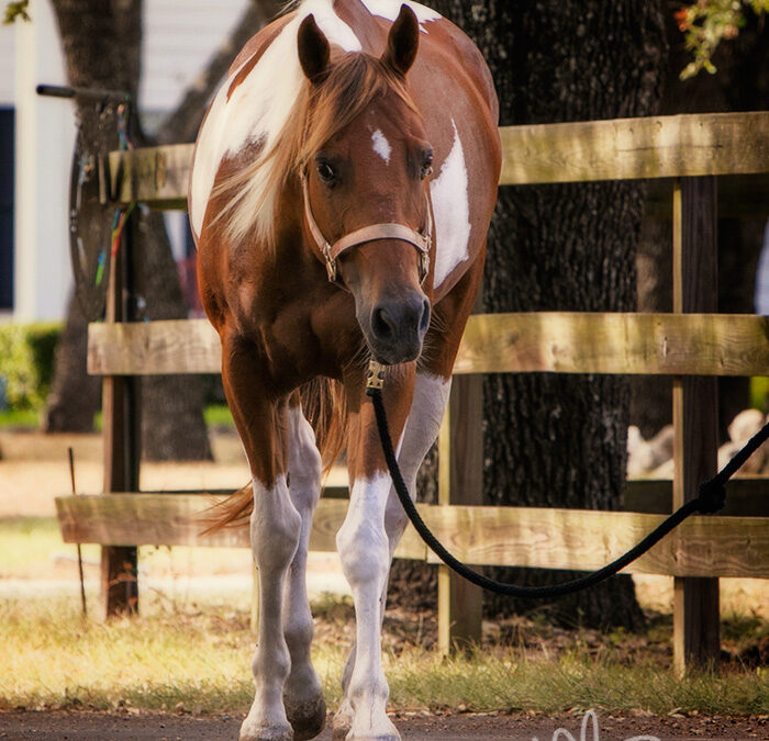BEHS 1053 – Arya