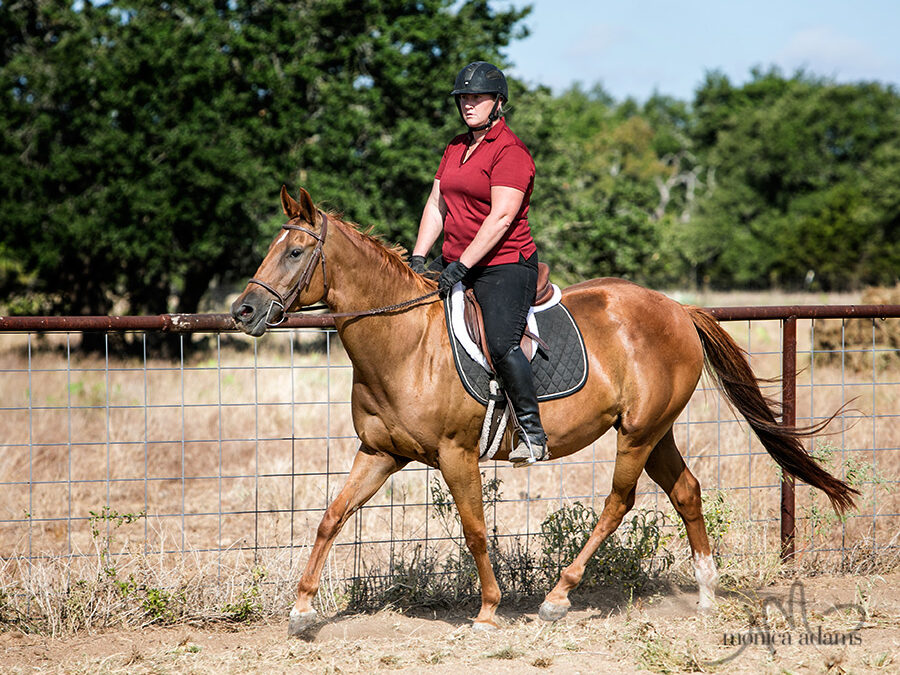 BEHS 822 – Prairie Rose