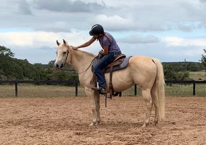 BEHS 857 – Cherokee Rose