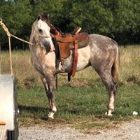 BEHS 930 – Arrow
