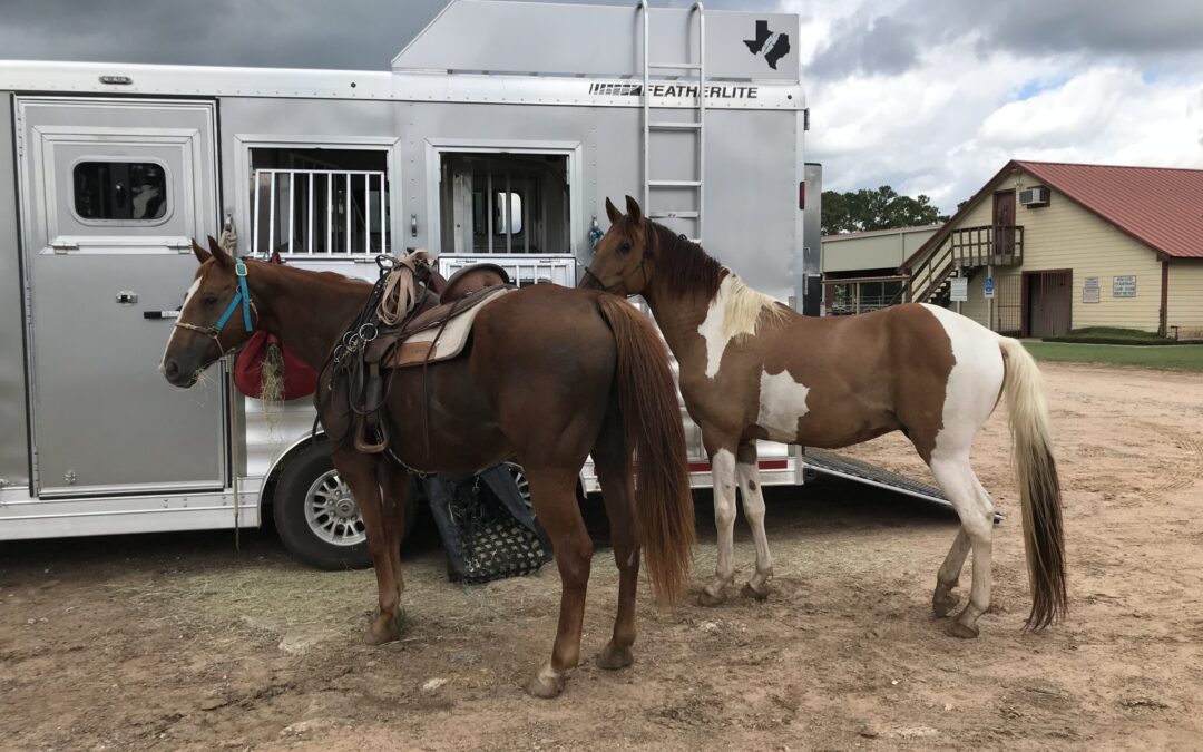 BEHS 714 – Remington