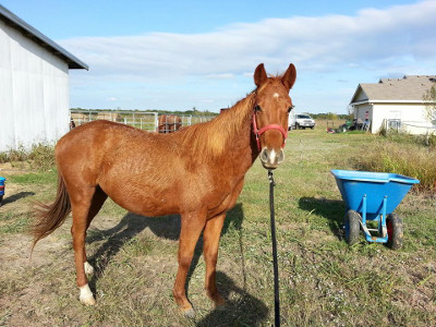 BEHS 713 – Nutmeg