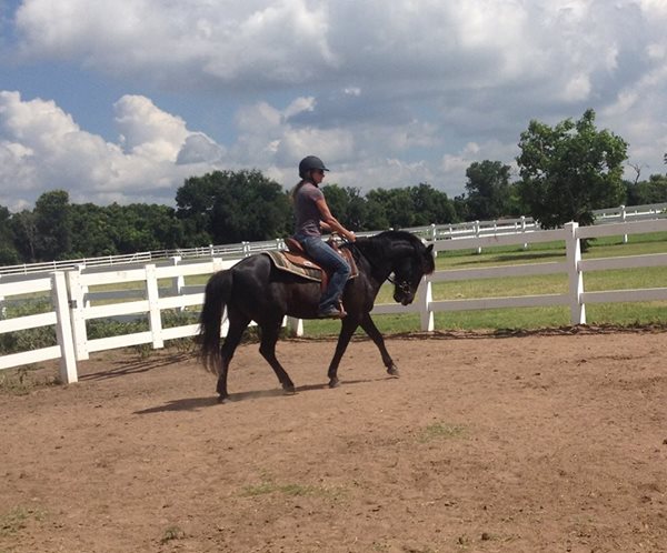 BEHS 610 – Blackie