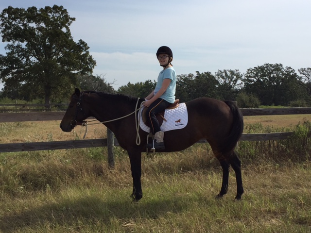 BEHS 586 – Brown Betty