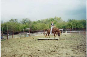 BEHS 067 – Dottie