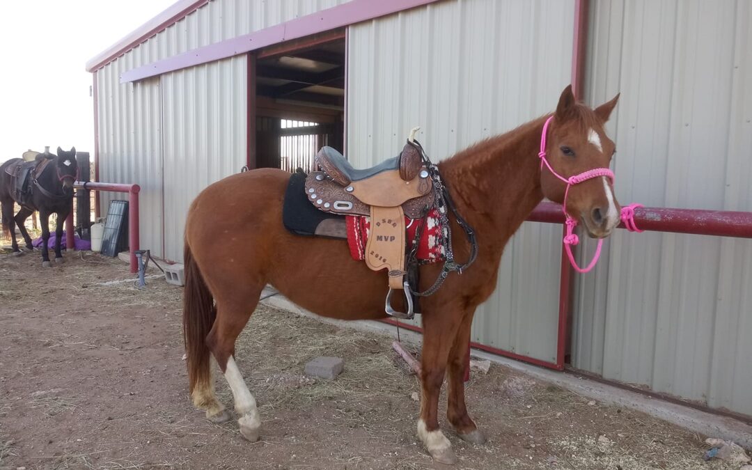 BEHS 1069 – East Texas Rosie