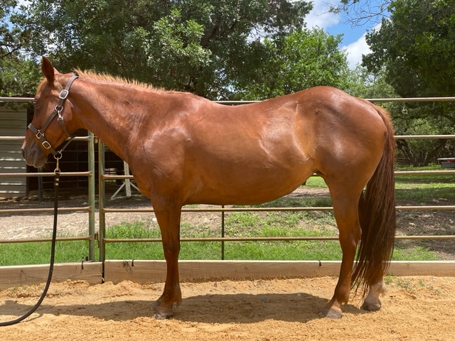 BEHS 664 – Gilda