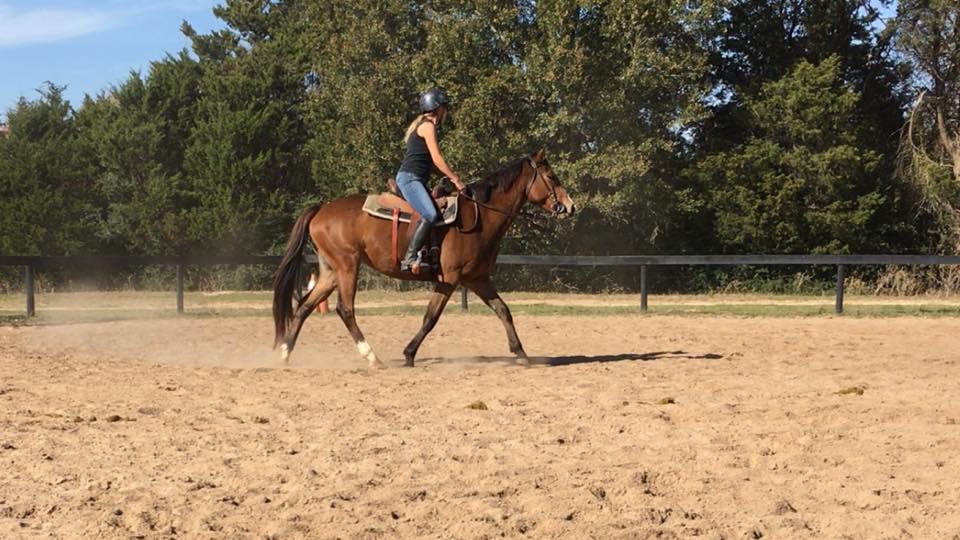 BEHS 770 – Ginny