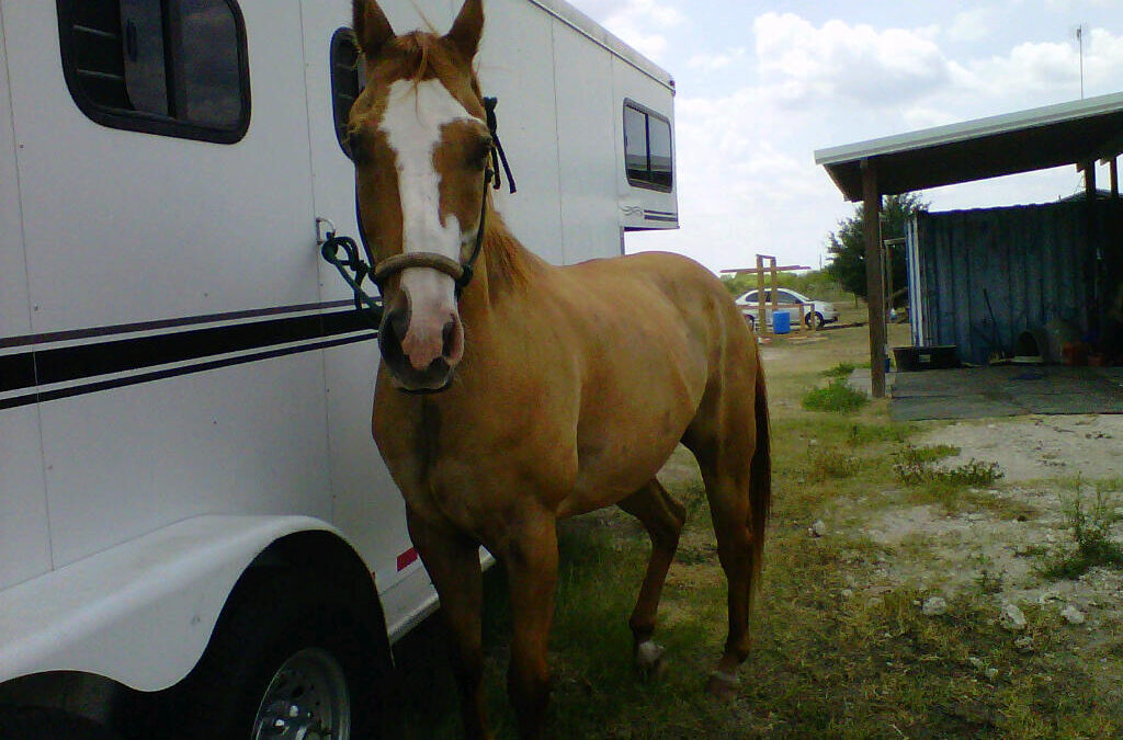 BEHS 587- Hank