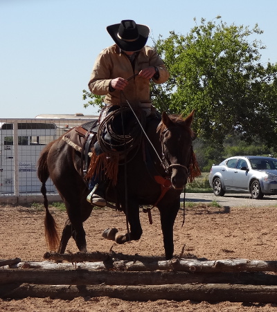 BEHS 215 – Kiley
