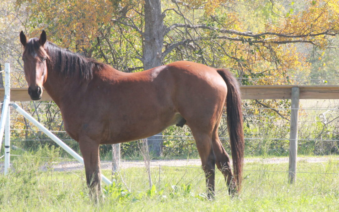 BEHS 721 – Martie
