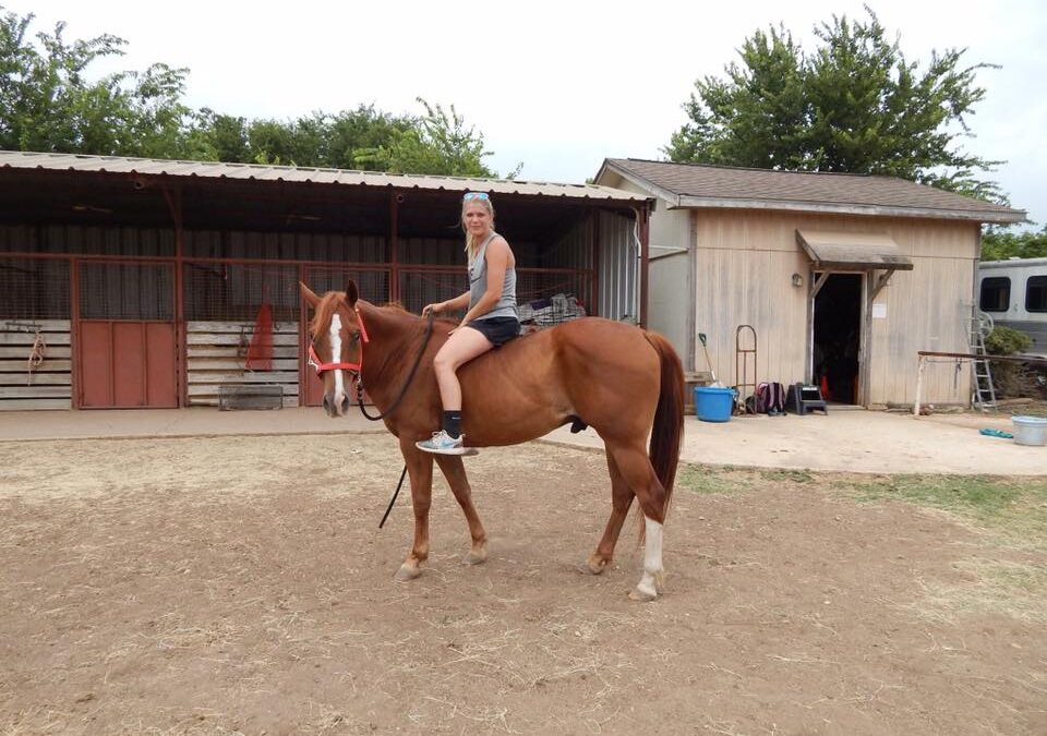 BEHS 856 – Mister Clyde