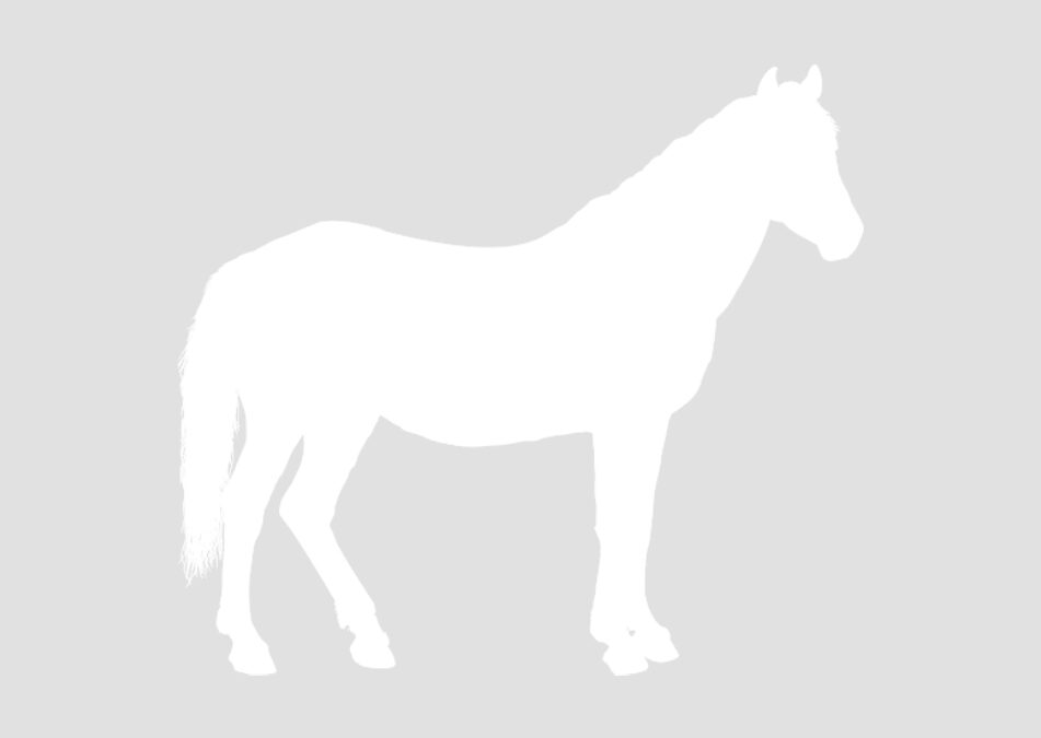 BEHS 1078- Fig