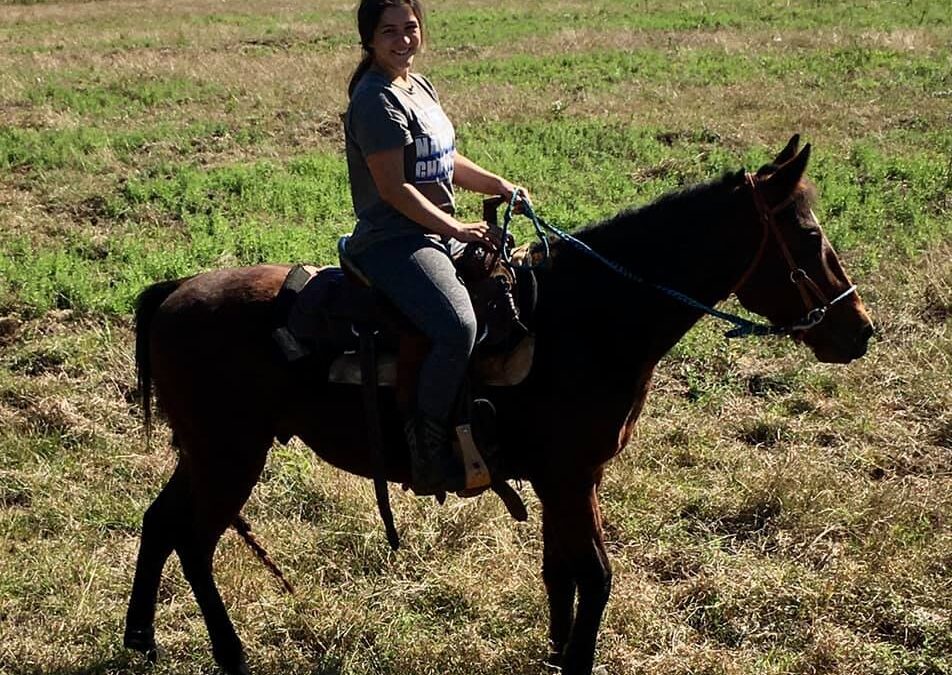 BEHS 1170 – Longmire