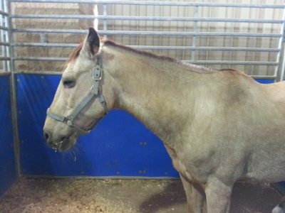BEHS 703 – Sampson