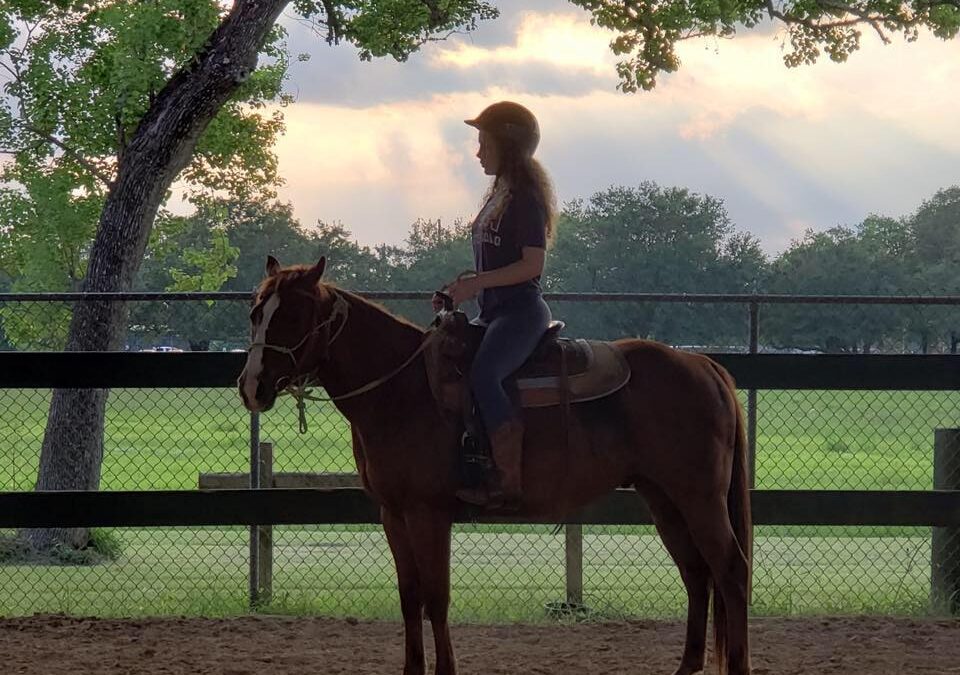 BEHS 741 – Sawyer
