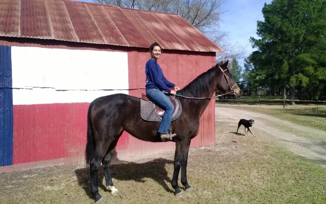BEHS 716 – Shining Armor
