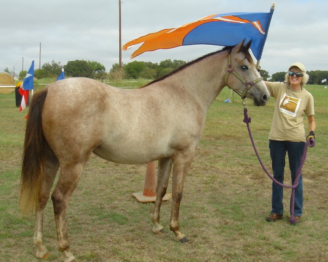 BEHS 728 – Trixie