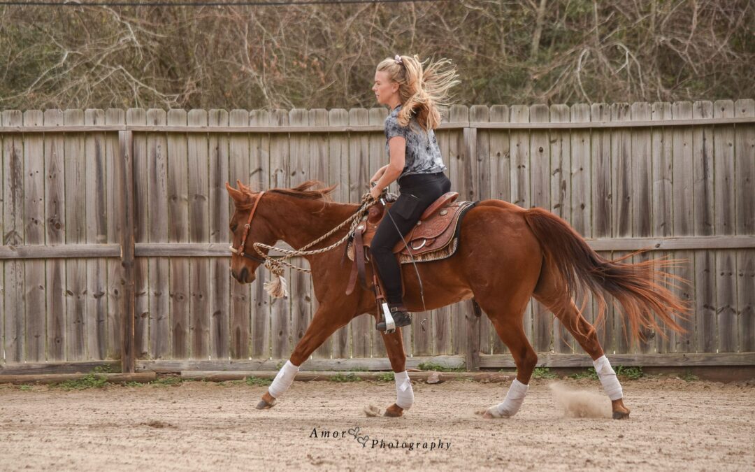 BEHS 1138 – Joy Ride