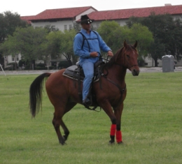 BEHS 102 – Zydeco