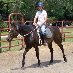 BEHS 457 – Hershey