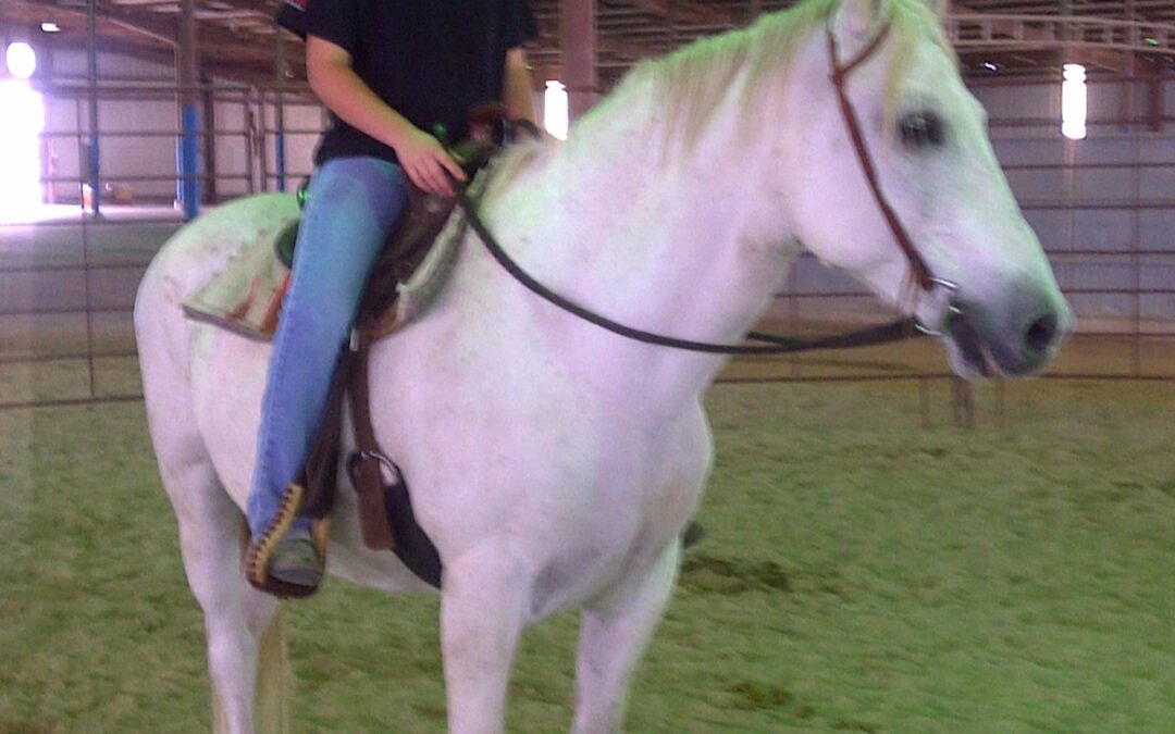 BEHS 592 – Hunter