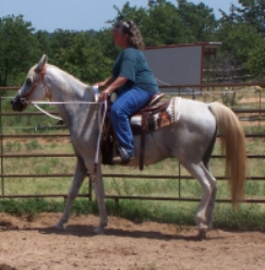 BEHS 352 – Miss Ellie